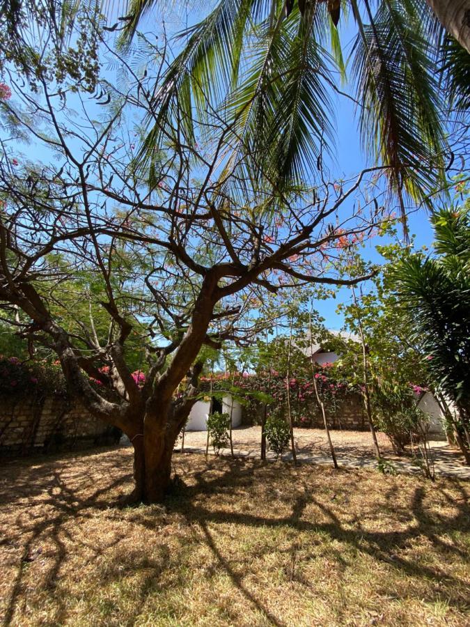 Silver Rock Hotel Malindi Extérieur photo